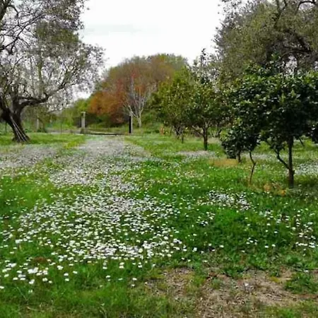 Διαμέρισμα House!!! Sfakerá