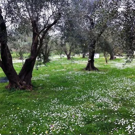 Apartment House!!! Sfakera