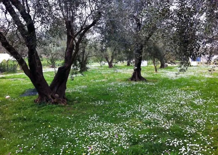 아파트 House!!! Sfakerá