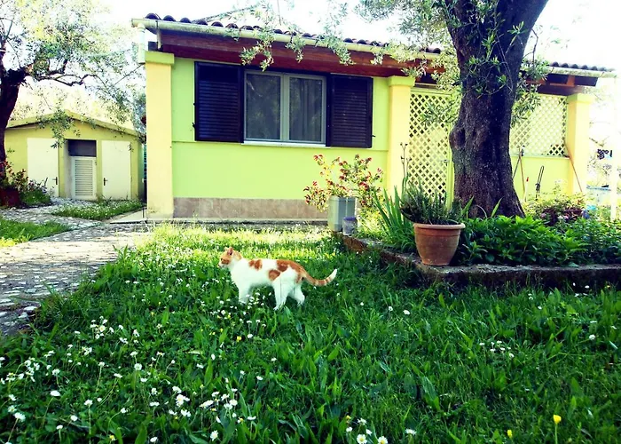 House!!! דירה Sfakerá
