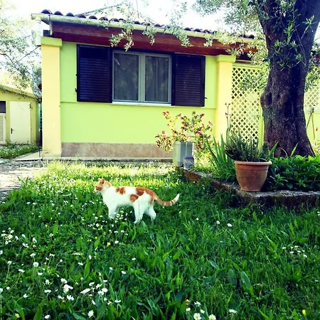 House!!! 아파트 Sfakerá