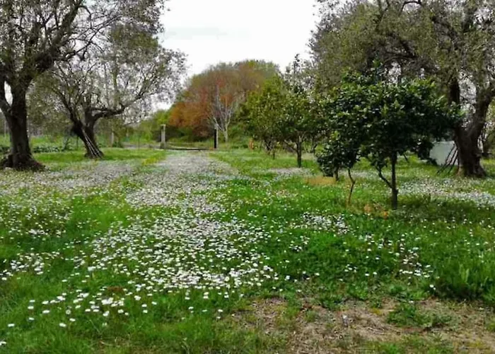 Appartement House!!! Sfakerá